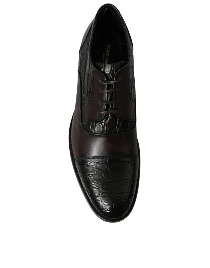 Dolce &amp; Gabbana Sample Sale Dolce &amp; Gabbana Brown Exotic Leather Formal Men Dress Shoes - | Designer outlet