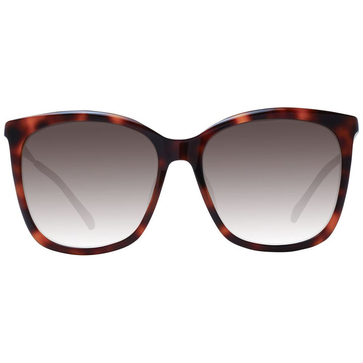 Jimmy Choo Brown Women Sunglasses