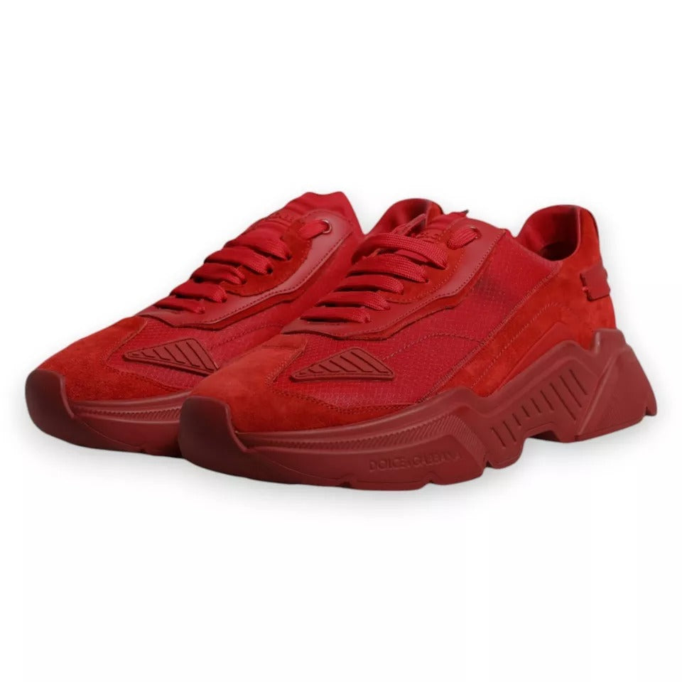 Dolce &amp; Gabbana Sample Sale Dolce &amp; Gabbana Red Leather Daymaster Low Top Sneakers Shoes - | Designer outlet
