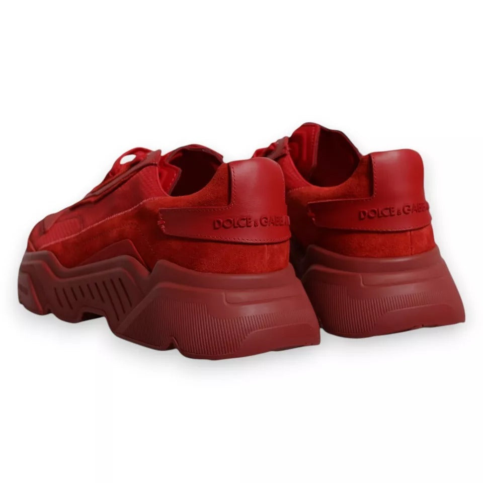 Dolce &amp; Gabbana Sample Sale Dolce &amp; Gabbana Red Leather Daymaster Low Top Sneakers Shoes - | Designer outlet