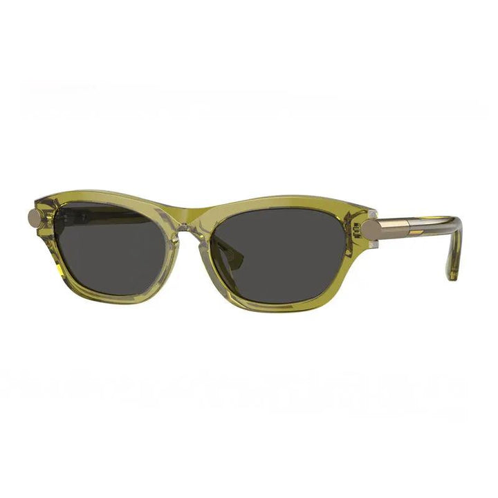 Burberry Sunglasses Geometric Full Rim, Green Frame And Dark Grey Lens Be4430U411887