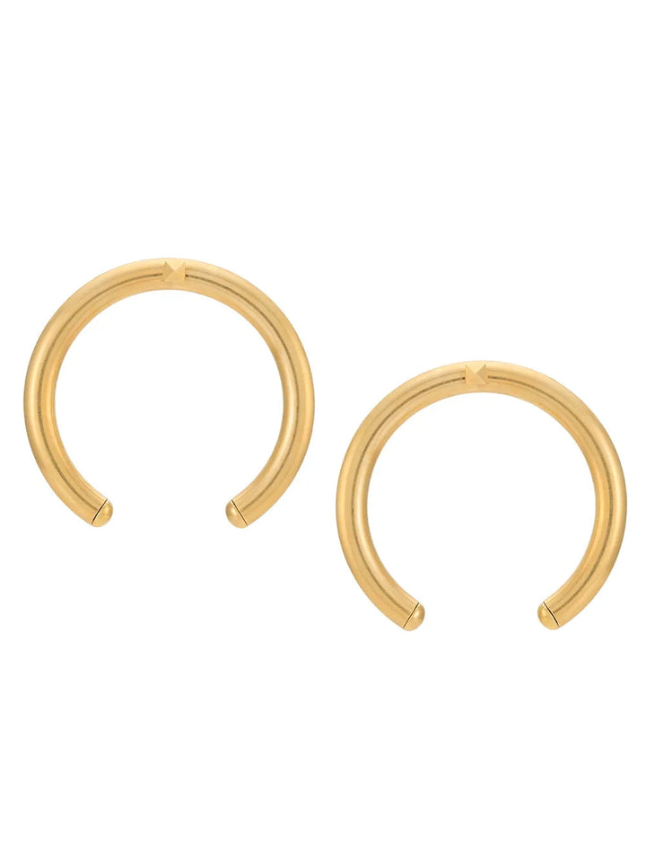 Valentino Earrings