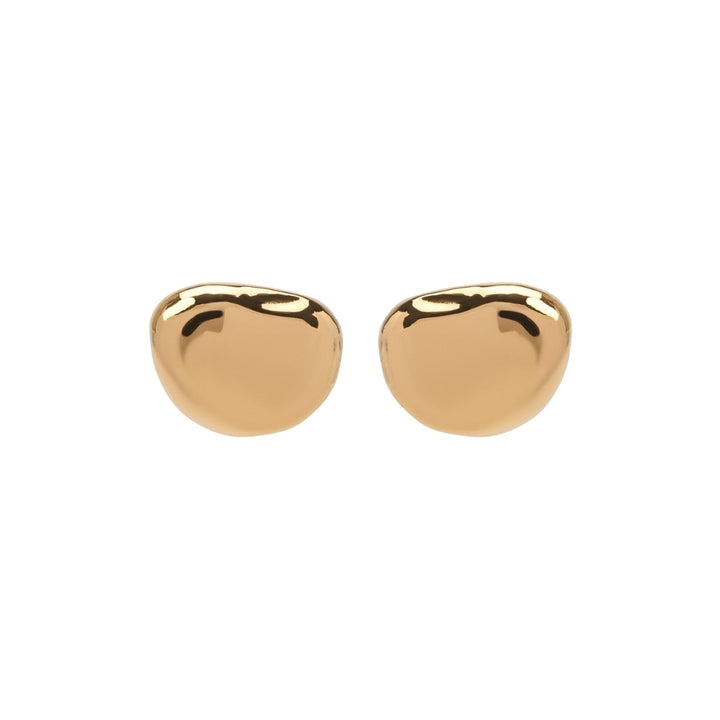 Bottega Veneta Silver Earrings