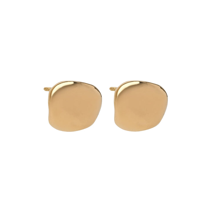 Bottega Veneta Silver Earrings