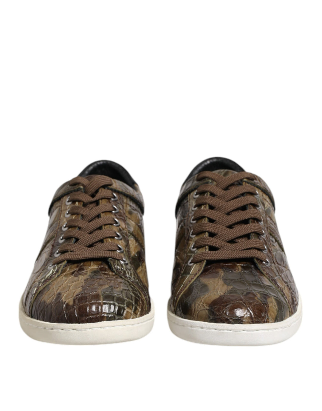 Dolce &amp; Gabbana Sample Sale Dolce &amp; Gabbana Brown Exotic Leather Low Top Sneakers Shoes - | Designer outlet