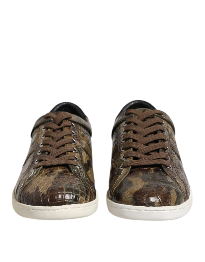 Dolce &amp; Gabbana Sample Sale Dolce &amp; Gabbana Brown Exotic Leather Low Top Sneakers Shoes - | Designer outlet