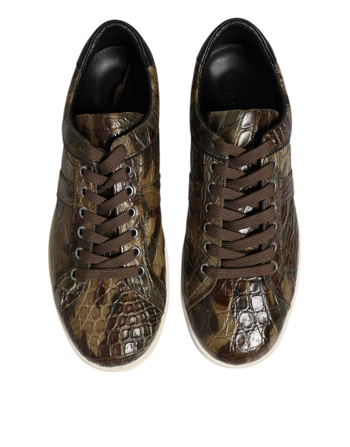 Dolce &amp; Gabbana Sample Sale Dolce &amp; Gabbana Brown Exotic Leather Low Top Sneakers Shoes - | Designer outlet