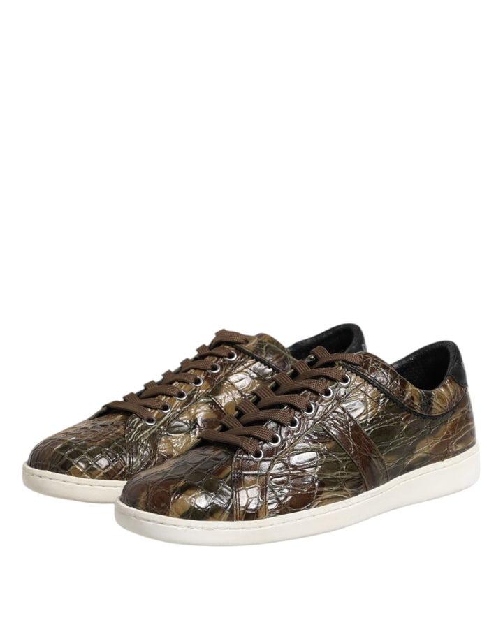 Dolce &amp; Gabbana Sample Sale Dolce &amp; Gabbana Brown Exotic Leather Low Top Sneakers Shoes - | Designer outlet