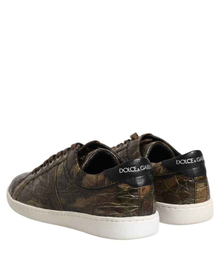 Dolce &amp; Gabbana Sample Sale Dolce &amp; Gabbana Brown Exotic Leather Low Top Sneakers Shoes - | Designer outlet