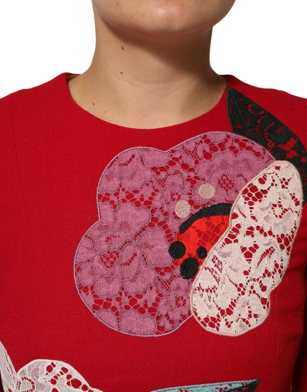 Dolce &amp; Gabbana Sample Sale Dolce &amp; Gabbana Red Lace Floral Applique A-line Mini Dress - | Designer outlet