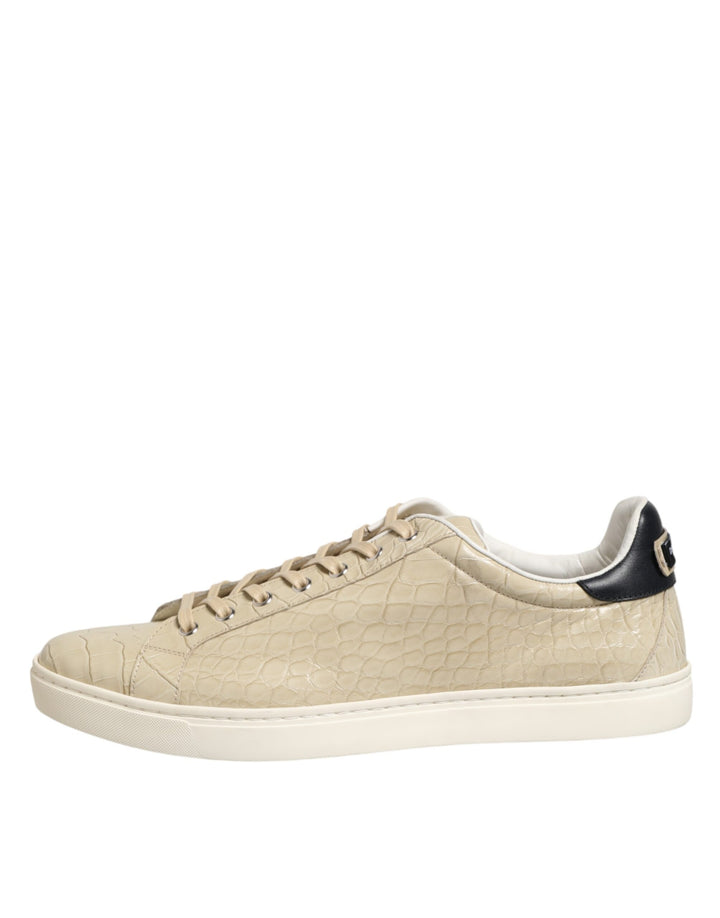 Dolce &amp; Gabbana Sample Sale Dolce &amp; Gabbana Beige London Low Top Leather Sneakers Shoes - | Designer outlet