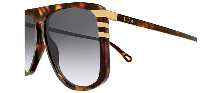 Chloe CH 0104S 007 Flat-top Plastic Havana Sunglasses with Grey Gradient Lens