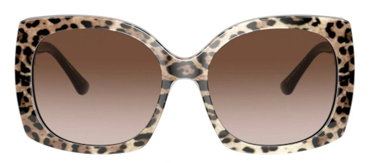 DOLCE & GABBANA DG 4385F 316313 Square Leo Brown On Black Acetate Sunglasses with Brown Gradient Dark Brown Lens