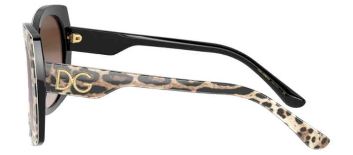 DOLCE & GABBANA DG 4385F 316313 Square Leo Brown On Black Acetate Sunglasses with Brown Gradient Dark Brown Lens