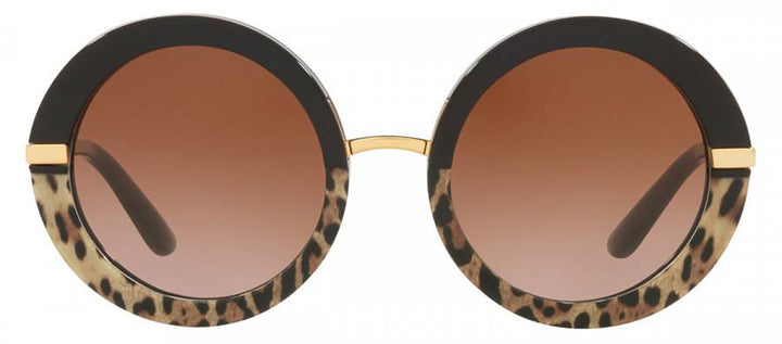 DOLCE & GABBANA DG 4393F 324413 Round Black/Leo Print Acetate Sunglasses with Brown Gradient Lens