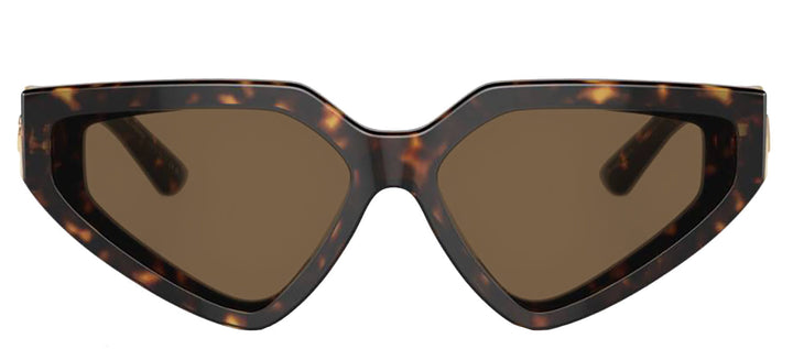 DOLCE & GABBANA DG 4469F 502/73 Butterfly Havana Acetate Sunglasses with Dark Brown Lens
