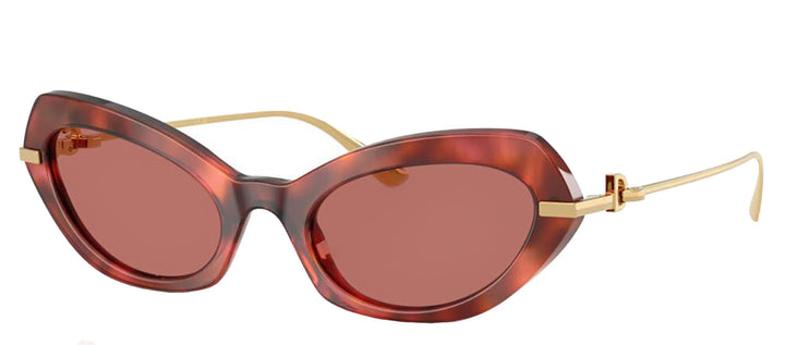 DOLCE & GABBANA DG 4473 344469 Butterfly Havana Brown Acetate Sunglasses with Dark Violet Lens