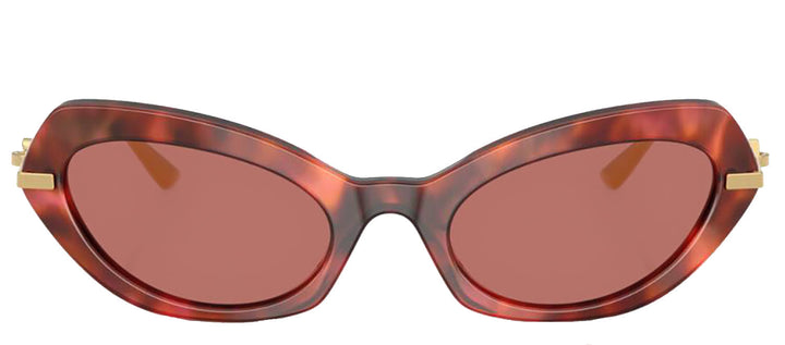 DOLCE & GABBANA DG 4473 344469 Butterfly Havana Brown Acetate Sunglasses with Dark Violet Lens