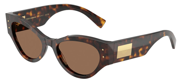 DOLCE & GABBANA DG 4480 502/73 Butterfly Havana Acetate Sunglasses with Dark Brown Lens
