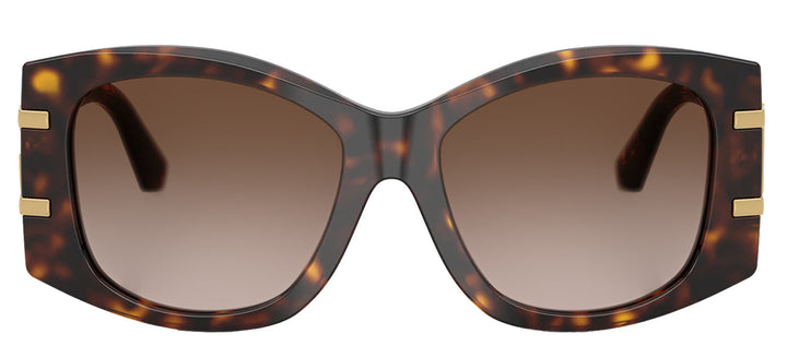 DOLCE & GABBANA DG 4501 502/13 Butterfly Havana Acetate Sunglasses with Gradient Brown Lens