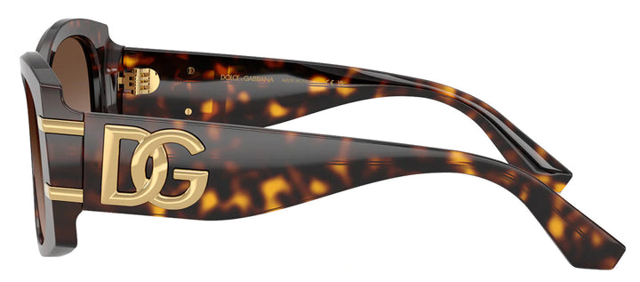 DOLCE & GABBANA DG 4501 502/13 Butterfly Havana Acetate Sunglasses with Gradient Brown Lens