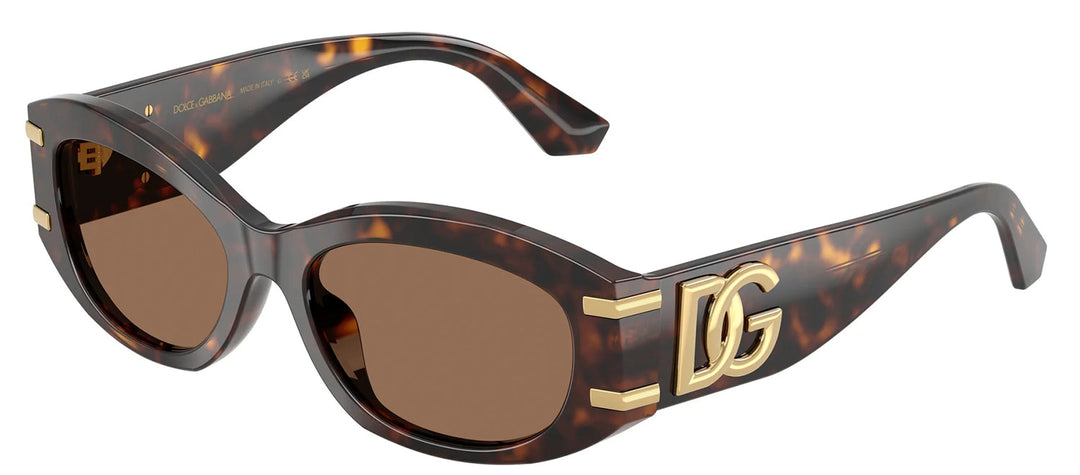 DOLCE & GABBANA DG 4502 502/73 Oval Havana Acetate Sunglasses with Dark Brown Lens