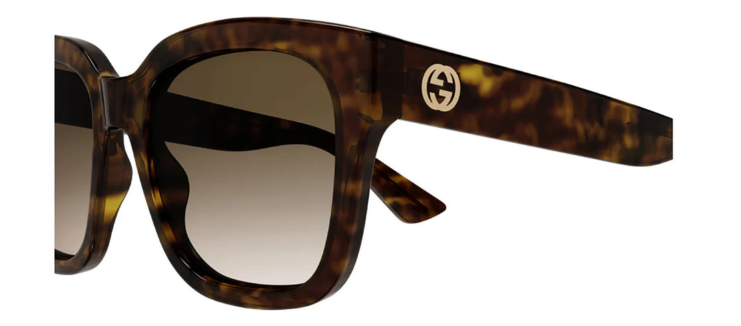 Gucci GG 1338S 003 Square Plastic Havana Sunglasses with Brown Gradient Lens
