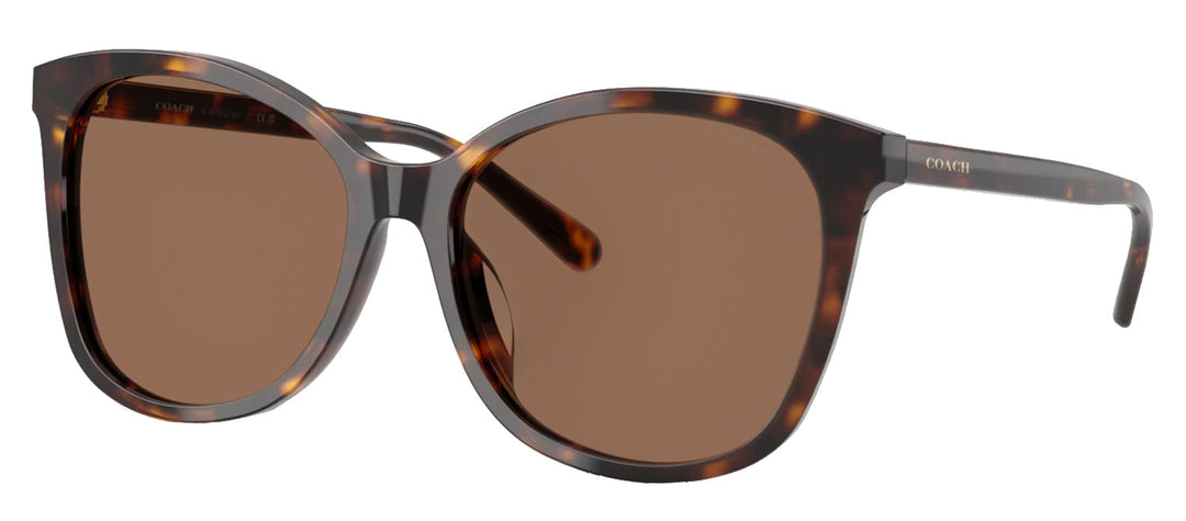 Coach HC 8271U 512073 Square Plastic Tortoise Sunglasses with Brown Lens