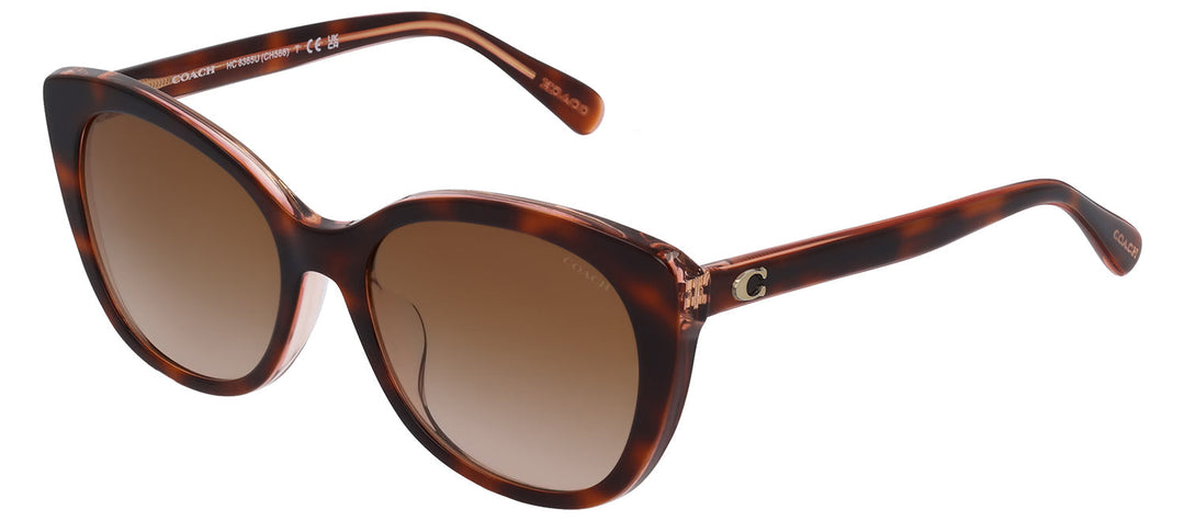 Coach HC 8365U 574413 Cat-Eye Plastic Tortoise Sunglasses with Brown Gradient Lens
