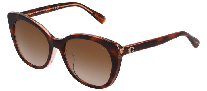 Coach HC 8365U 574413 Cat-Eye Plastic Tortoise Sunglasses with Brown Gradient Lens