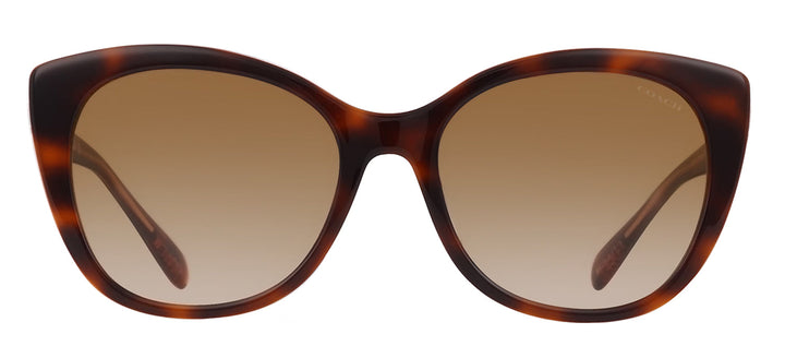 Coach HC 8365U 574413 Cat-Eye Plastic Tortoise Sunglasses with Brown Gradient Lens