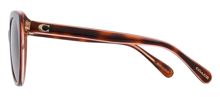 Coach HC 8365U 574413 Cat-Eye Plastic Tortoise Sunglasses with Brown Gradient Lens