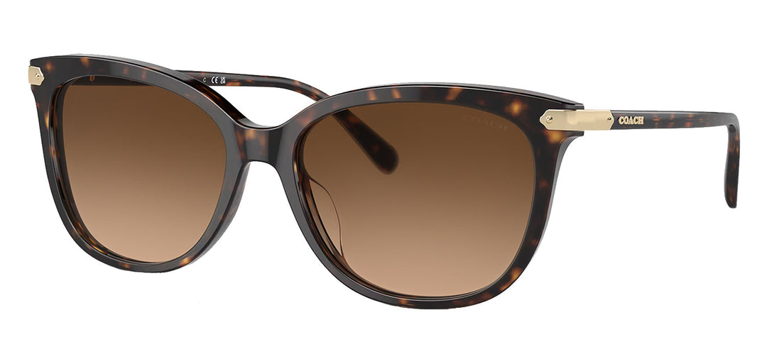 Coach HC 8378U 512074 Cat-Eye Plastic Tortoise Sunglasses with Brown Gradient Lens