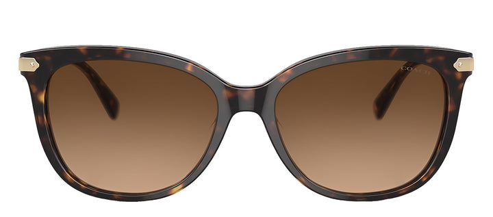 Coach HC 8378U 512074 Cat-Eye Plastic Tortoise Sunglasses with Brown Gradient Lens