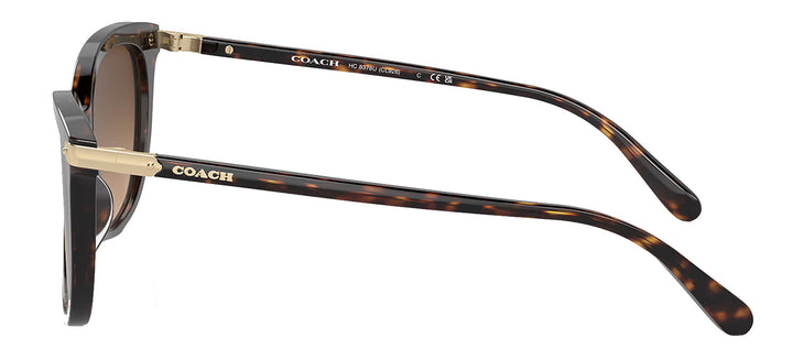 Coach HC 8378U 512074 Cat-Eye Plastic Tortoise Sunglasses with Brown Gradient Lens