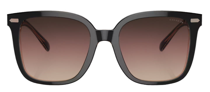 Coach HC 8381U 5.78E+05 Square Plastic Black Sunglasses with Purple Gradient Lens