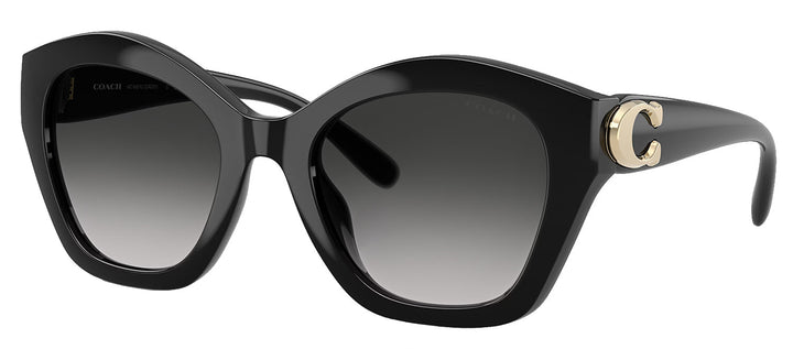 Coach HC 8421U 50023C Irregular Plastic Black Sunglasses with Grey Gradient Lens
