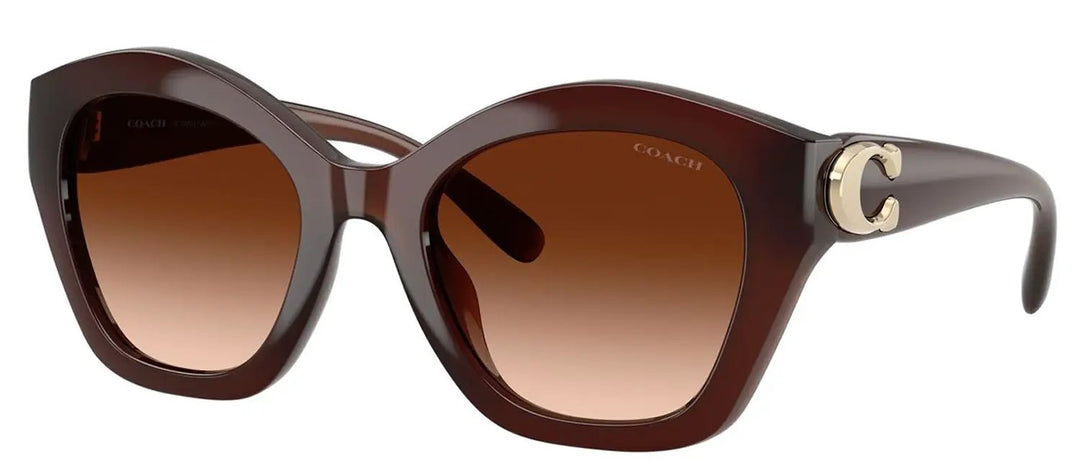 Coach HC 8421U 584174 Irregular Plastic Brown Sunglasses with Brown Gradient Lens