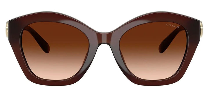 Coach HC 8421U 584174 Irregular Plastic Brown Sunglasses with Brown Gradient Lens