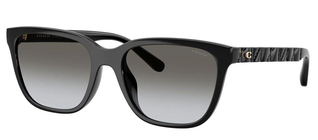 Coach HC 8429D 50023C Square Plastic Black Sunglasses with Grey Gradient Lens
