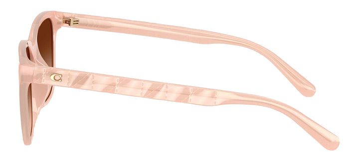 Coach HC 8429D 511374 Square Plastic Pink Sunglasses with Brown Gradient Lens