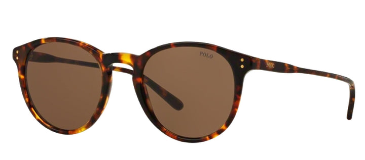Polo Ralph Lauren PH 4110 513473 Phantos Plastic Havana Sunglasses with Brown Lens
