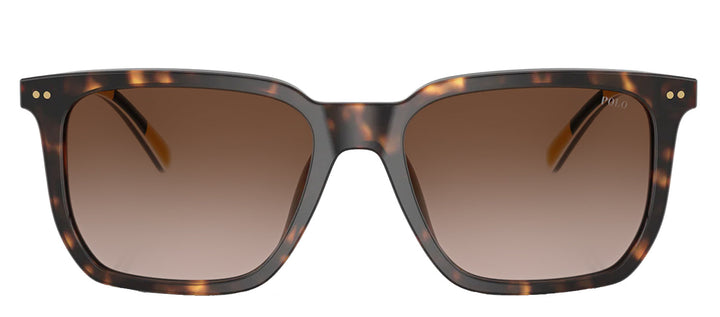 Polo Ralph Lauren PH 4224U 500313 Rectangle Plastic Havana Sunglasses with Brown Gradient Lens