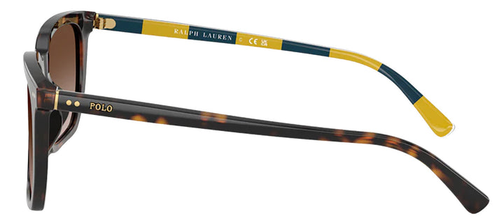 Polo Ralph Lauren PH 4224U 500313 Rectangle Plastic Havana Sunglasses with Brown Gradient Lens