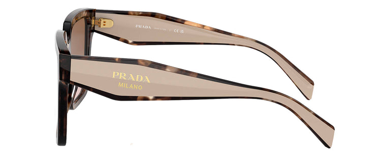 Prada PR 24ZS 07R0A6 Square Plastic Tortoise Sunglasses with Brown Gradient Lens