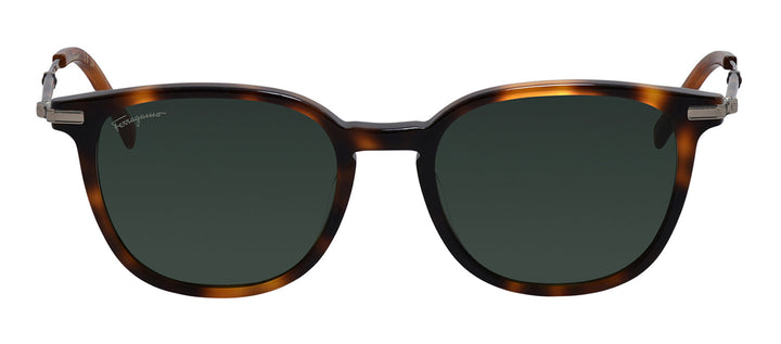 Salvatore Ferragamo SF 1015S 214 Square Acetate Tortoise Sunglasses with Green Classic Lens