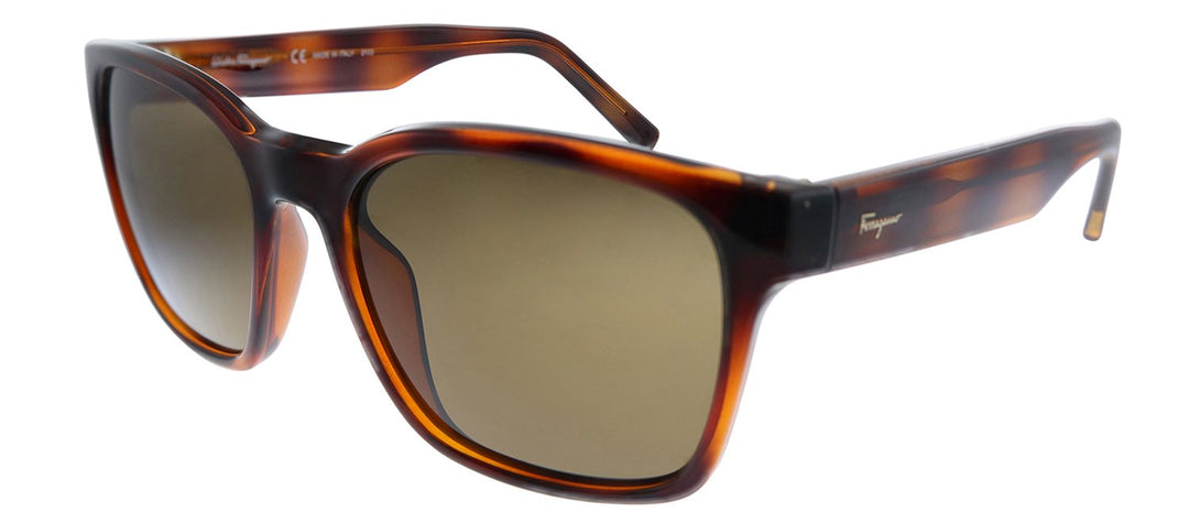 Salvatore Ferragamo SF 959S 214 Square Plastic Tortoise Sunglasses with Brown Lens