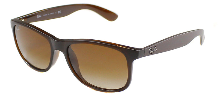 Ray-Ban Andy RB 4202 607313 Wayfarer Plastic Brown Sunglasses with Brown Gradient Lens