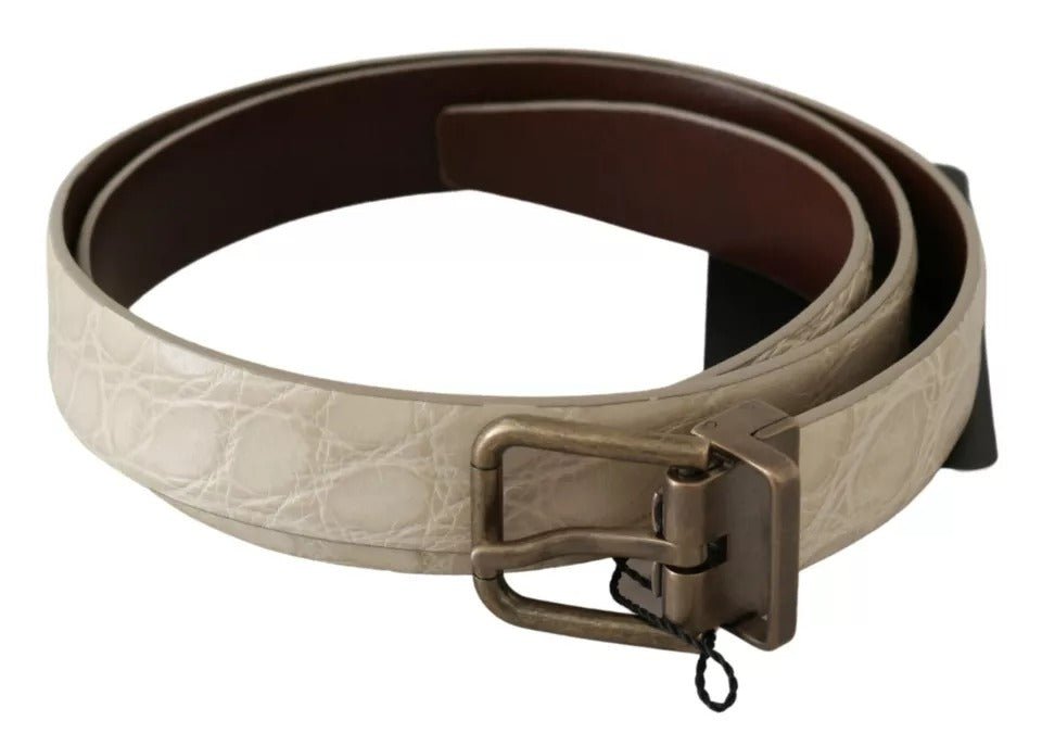  - Dolce & Gabbana Cream Beige Gold Buckle Waist Leather Belt - BEL60629 - 100 - Ask Me Wear