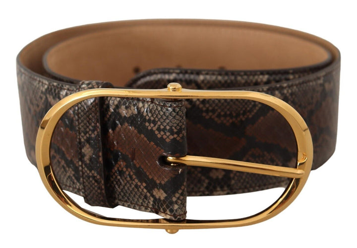  - Dolce & Gabbana Elegant Brown Leather Belt with Gold Buckle - BEL8361 - 80 - Ask Me Wear